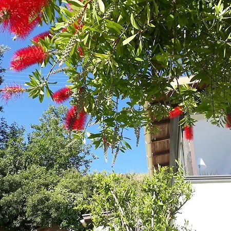Maison Et Jardin Sur Les Hauteurs De * Νίκαια